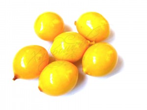 Лимон декоративний, 2,1*2,8см (пластиковий)